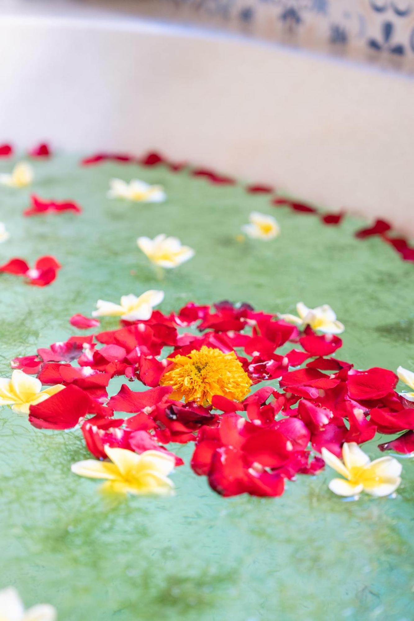 The Compass Rose Ubud מראה חיצוני תמונה